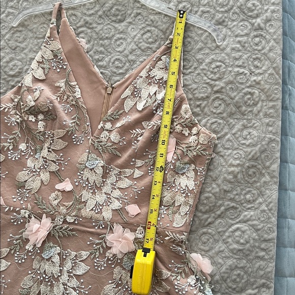 Dress the Population Blush Floral Embroidered Tulle Long Dress - Picture 11 of 16